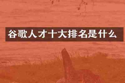 谷歌人才十大排名是什么