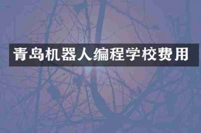 青岛机器人编程学校费用