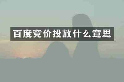 百度竞价投放什么意思
