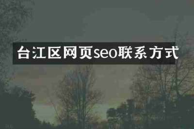 台江区网页seo联系方式