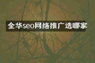 金华seo网络推广选哪家