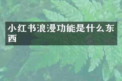 小红书浪漫功能是什么东西