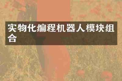 实物化编程机器人模块组合