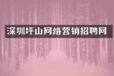 深圳坪山网络营销招聘网