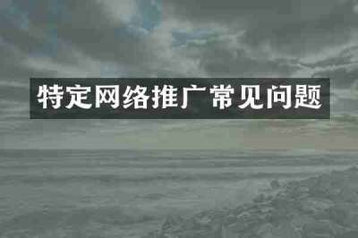 特定网络推广常见问题