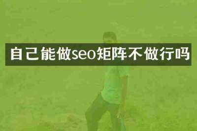 自己能做seo矩阵不做行吗
