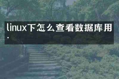 linux下怎么查看数据库用户