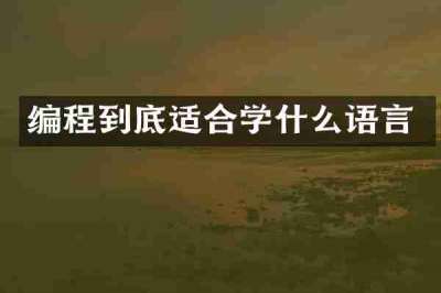 编程到底适合学什么语言