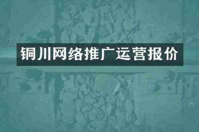 铜川网络推广运营报价