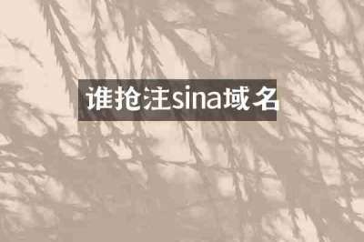 谁抢注sina域名