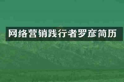 网络营销践行者罗彦简历