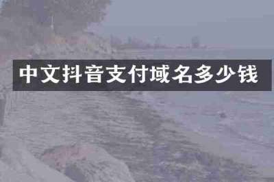 中文抖音支付域名多少钱