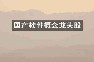 国产软件概念龙头股