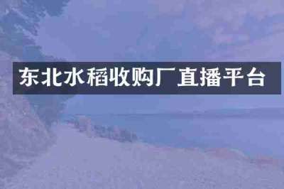 东北水稻收购厂直播平台