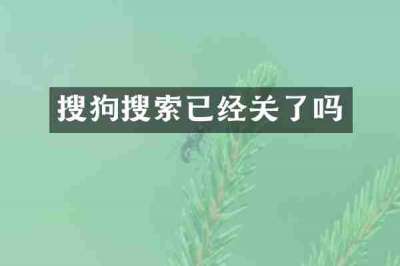 搜狗搜索已经关了吗