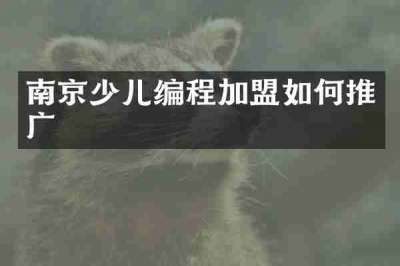南京少儿编程加盟如何推广