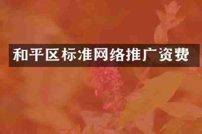 和平区标准网络推广资费