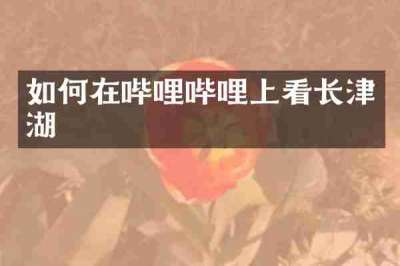 如何在哔哩哔哩上看长津湖
