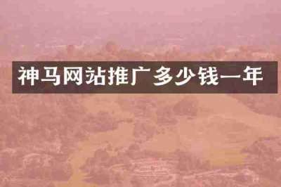 神马网站推广多少钱一年