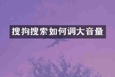 搜狗搜索如何调大音量