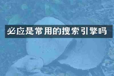 必应是常用的搜索引擎吗