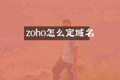 zoho怎么定域名