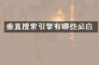 垂直搜索引擎有哪些必应