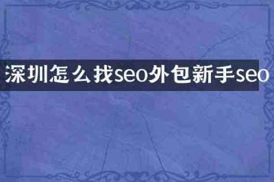 深圳怎么找seo外包新手seo