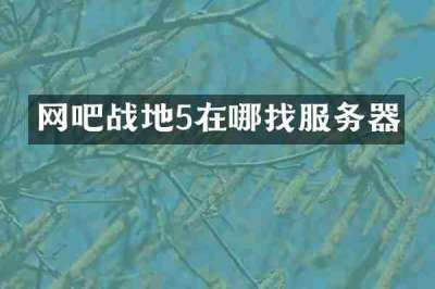 网吧战地5在哪找服务器