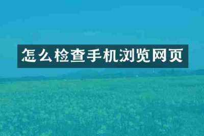 怎么检查手机浏览网页