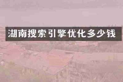湖南搜索引擎优化多少钱