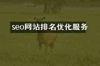 seo网站排名优化服务