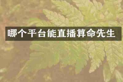 哪个平台能直播算命先生