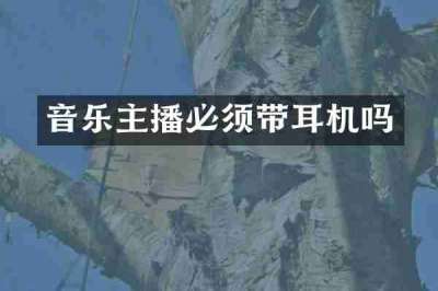 音乐主播必须带耳机吗