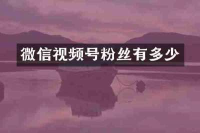 微信视频号粉丝有多少