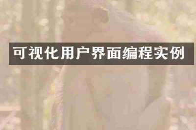可视化用户界面编程实例