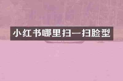 小红书哪里扫一扫脸型