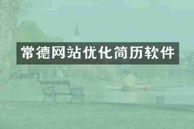 常德网站优化简历软件