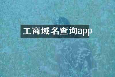 工商域名查询app