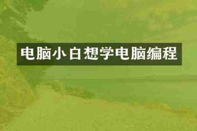 电脑小白想学电脑编程