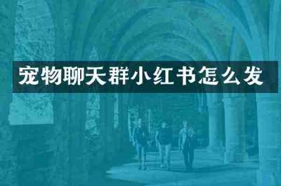 宠物聊天群小红书怎么发