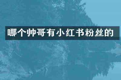 哪个帅哥有小红书粉丝的