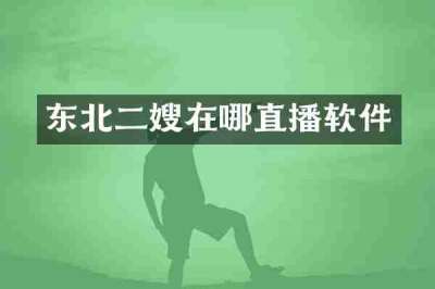 东北二嫂在哪直播软件