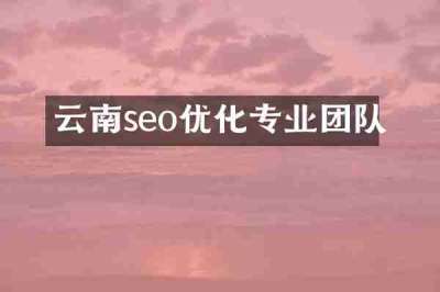 云南seo优化专业团队