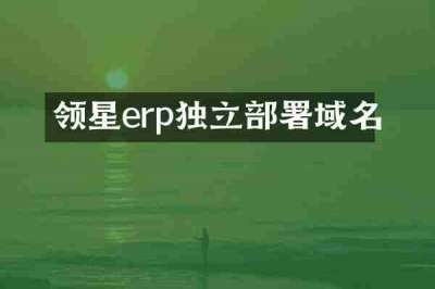 领星erp独立部署域名