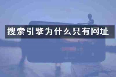 搜索引擎为什么只有网址