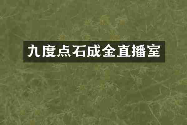 九度点石成金直播室