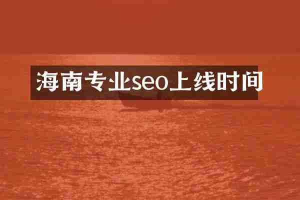 海南专业seo上线时间