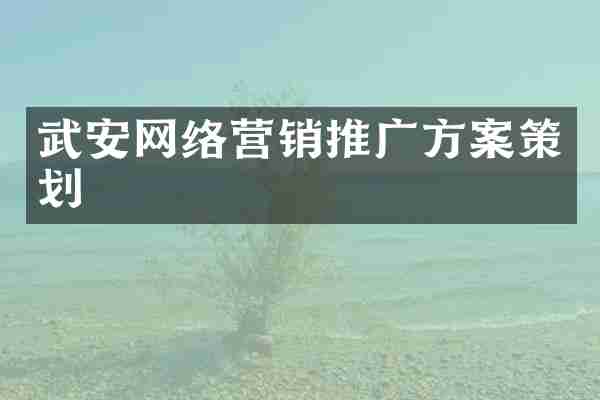 武安网络营销推广方案策划