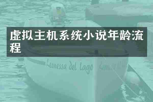 虚拟主机系统小说年龄流程